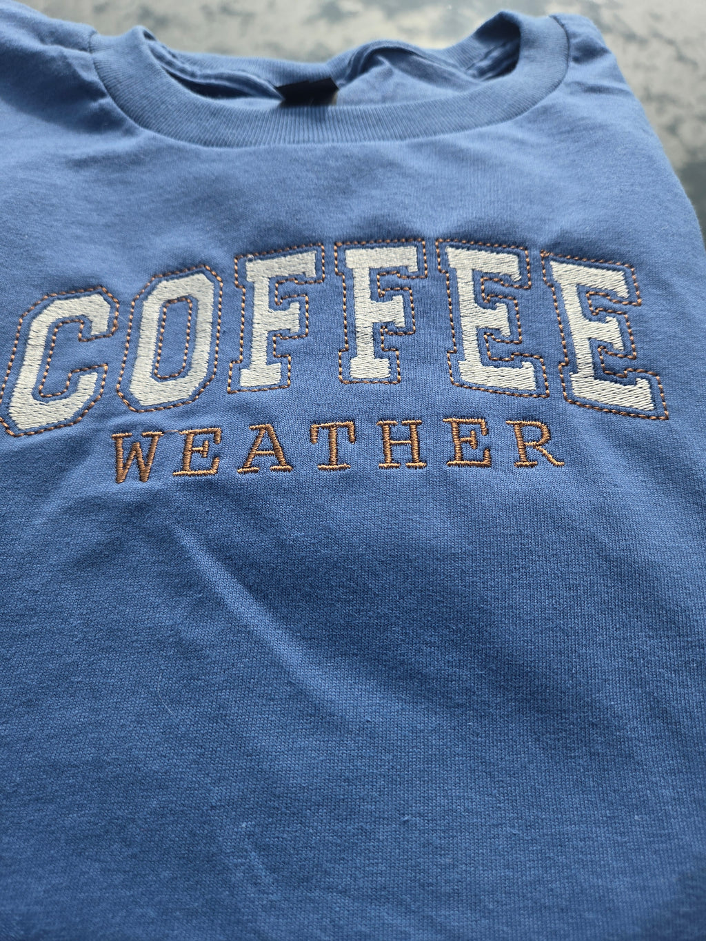 Coffee Weather Embroidered T-Shirt Gildan