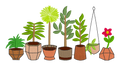 Plant Lover Embroidered Shirt | Houseplant Garden Gildan Tee | Custom Shirt Color